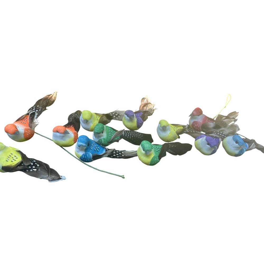 Assorted Colorful Feathered Clip-On Bird Ornaments Set for Crafts and Decor
